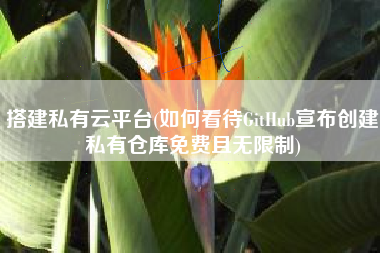 搭建私有云平台(如何看待GitHub宣布创建私有仓库免费且无限制)