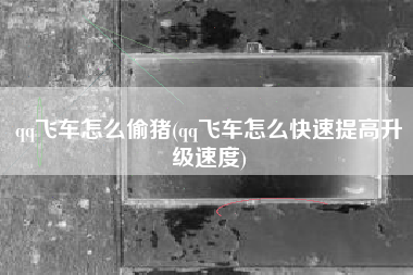 qq飞车怎么偷猪(qq飞车怎么快速提高升级速度)