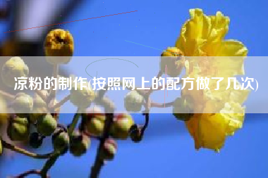 凉粉的制作(按照网上的配方做了几次)