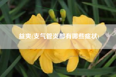 益爽(支气管炎都有哪些症状)