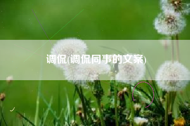 调侃(调侃同事的文案)