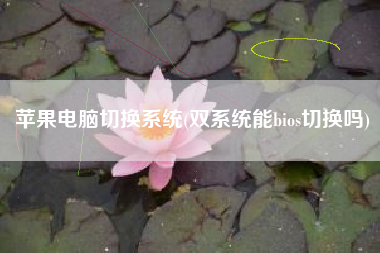 苹果电脑切换系统(双系统能bios切换吗)