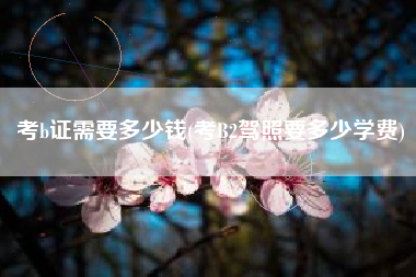 考b证需要多少钱(考B2驾照要多少学费)