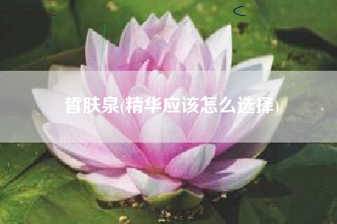 皙肤泉(精华应该怎么选择)
