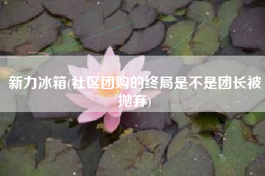 新力冰箱(社区团购的终局是不是团长被抛弃)
