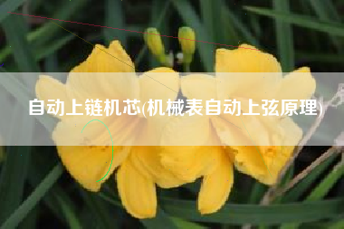 自动上链机芯(机械表自动上弦原理)