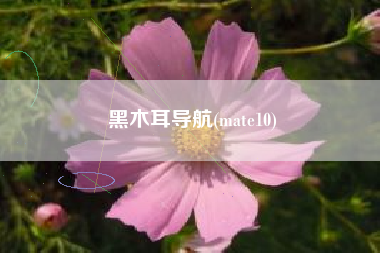 黑木耳导航(mate10)