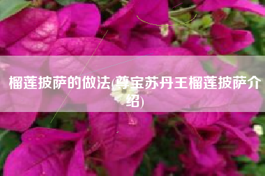 榴莲披萨的做法(尊宝苏丹王榴莲披萨介绍)