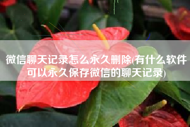 微信聊天记录怎么永久删除(有什么软件可以永久保存微信的聊天记录)