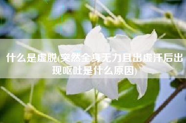 什么是虚脱(突然全身无力且出虚汗后出现呕吐是什么原因)