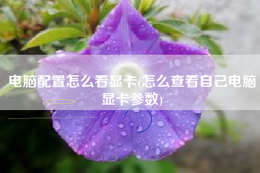电脑配置怎么看显卡(怎么查看自己电脑显卡参数)