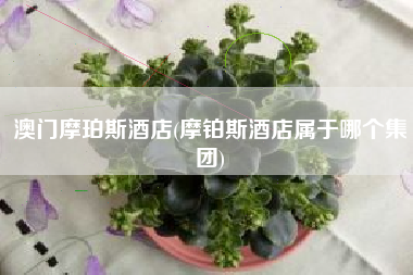 澳门摩珀斯酒店(摩铂斯酒店属于哪个集团)