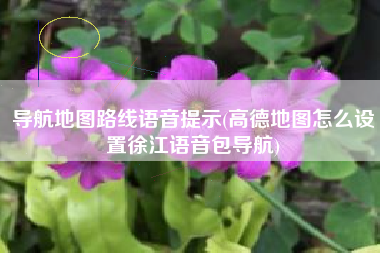 导航地图路线语音提示(高德地图怎么设置徐江语音包导航)