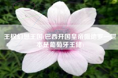 王权幻想王国(巴西开国皇帝佩德罗一世本是葡萄牙王储)