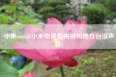 小米sound(小米电视看央视和地方台没声音)