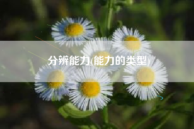 分辨能力(能力的类型)