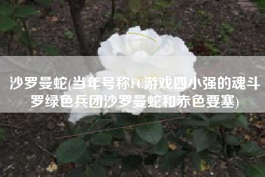 沙罗曼蛇(当年号称FC游戏四小强的魂斗罗绿色兵团沙罗曼蛇和赤色要塞)