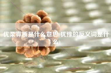优柔寡断是什么意思(犹豫的反义词是什么)