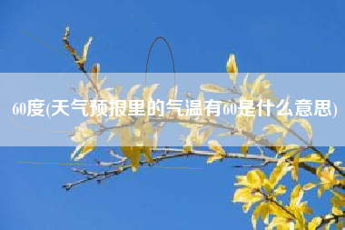 60度(天气预报里的气温有60是什么意思)