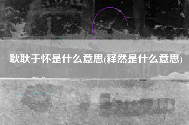 耿耿于怀是什么意思(释然是什么意思)