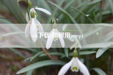 ssh下载(如何用jump)