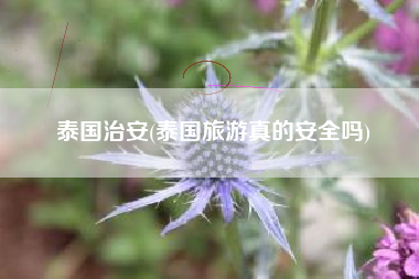 泰国治安(泰国旅游真的安全吗)