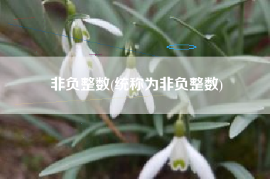 非负整数(统称为非负整数)