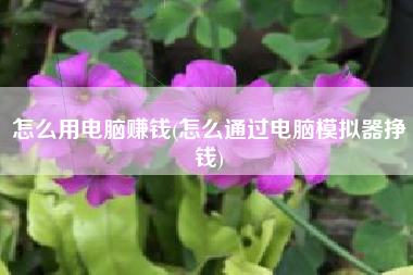 怎么用电脑赚钱(怎么通过电脑模拟器挣钱)