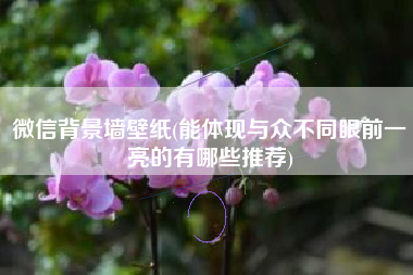 微信背景墙壁纸(能体现与众不同眼前一亮的有哪些推荐)