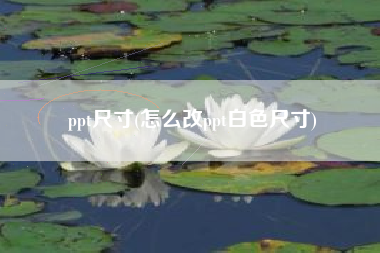 ppt尺寸(怎么改ppt白色尺寸)