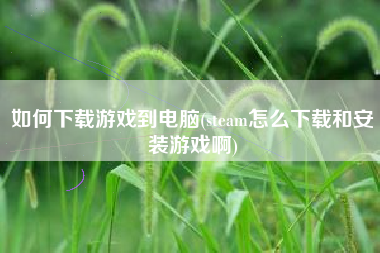 如何下载游戏到电脑(steam怎么下载和安装游戏啊)
