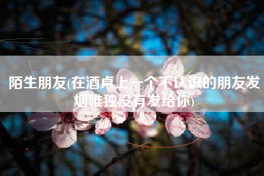 陌生朋友(在酒桌上一个不认识的朋友发烟唯独没有发给你)