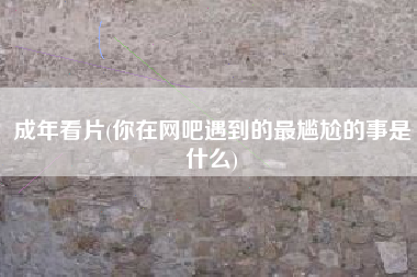 成年看片(你在网吧遇到的最尴尬的事是什么)