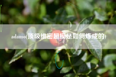 adamo(顶级维密超模是如何炼成的)