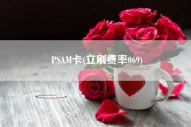 PSAM卡(立刷费率069)