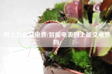 网上怎么交电费(智能电表网上能交电费吗)