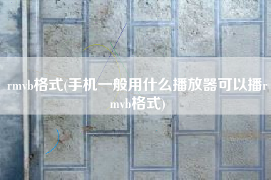rmvb格式(手机一般用什么播放器可以播rmvb格式)