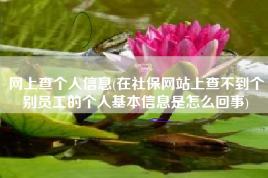 网上查个人信息(在社保网站上查不到个别员工的个人基本信息是怎么回事)