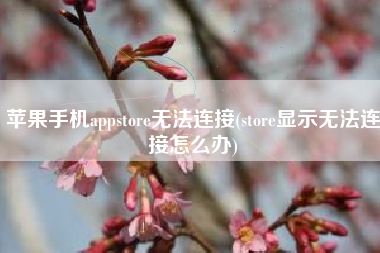 苹果手机appstore无法连接(store显示无法连接怎么办)