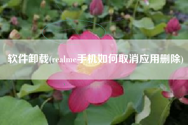 软件卸载(realme手机如何取消应用删除)