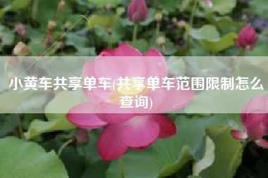 小黄车共享单车(共享单车范围限制怎么查询)