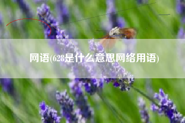 网语(628是什么意思网络用语)