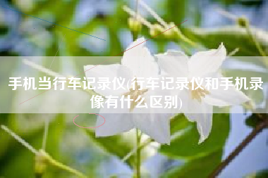 手机当行车记录仪(行车记录仪和手机录像有什么区别)