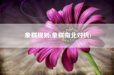 象棋规则(象棋南北对抗)