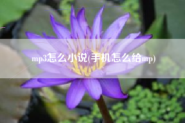 mp3怎么小说(手机怎么给mp)