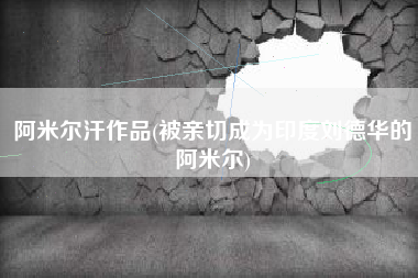 阿米尔汗作品(被亲切成为印度刘德华的阿米尔)