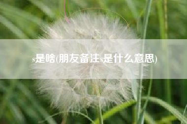 s是啥(朋友备注s是什么意思)