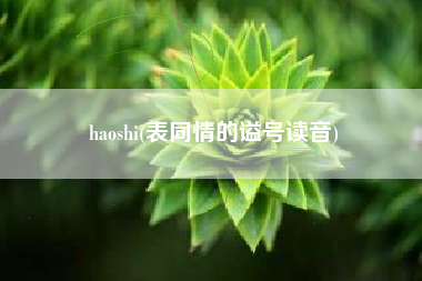 haoshi(表同情的谥号读音)