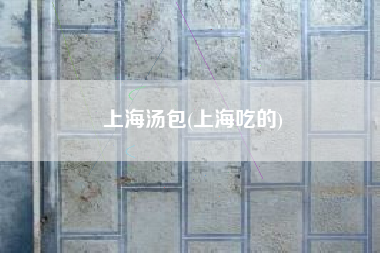 上海汤包(上海吃的)