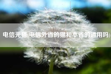 电信光猫(电信外省的猫和本省的通用吗)